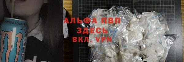 ПСИЛОЦИБИНОВЫЕ ГРИБЫ Новозыбков