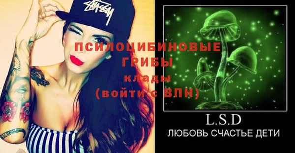 ПСИЛОЦИБИНОВЫЕ ГРИБЫ Новозыбков