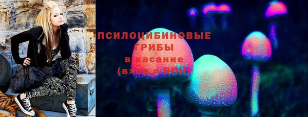 ПСИЛОЦИБИНОВЫЕ ГРИБЫ Новозыбков