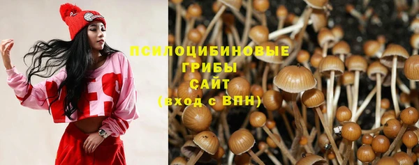 круглые Новодвинск