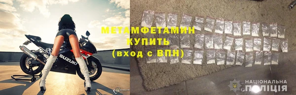 ПСИЛОЦИБИНОВЫЕ ГРИБЫ Новозыбков
