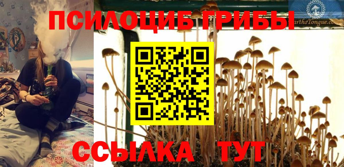 Галлюциногенные грибы мицелий Апшеронск