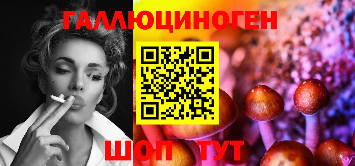 Апшеронск  Псилоцибиновые грибы Psilocybe  купить наркотики сайты  Галлюциногенные грибы Psilocybine cubensis  Вход с VPN 