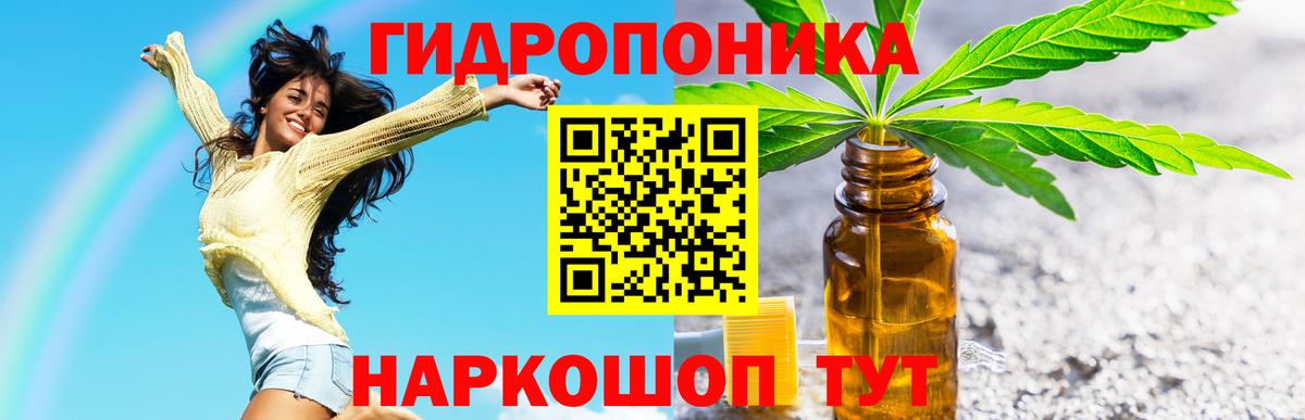 Канабис семена Апшеронск